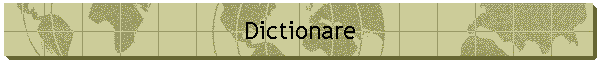 Dictionare