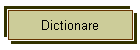 Dictionare