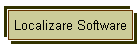Localizare Software