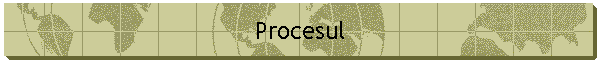 Procesul