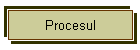 Procesul